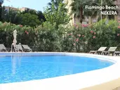 Flamingo Beach Resort