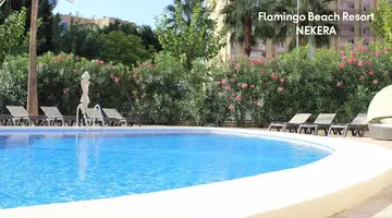 Flamingo Beach Resort