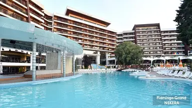 FLAMINGO GRAND
