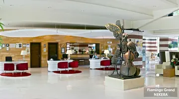 FLAMINGO GRAND