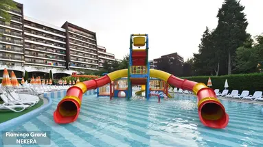 FLAMINGO GRAND