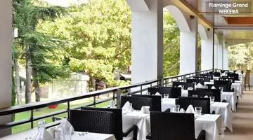 FLAMINGO GRAND