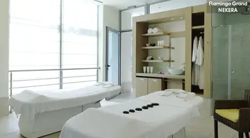 FLAMINGO GRAND