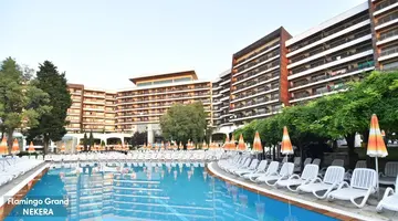 FLAMINGO GRAND