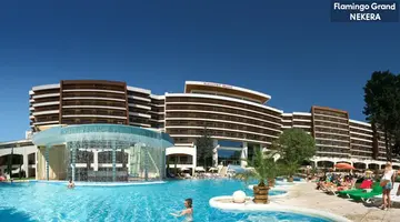 FLAMINGO GRAND
