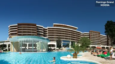 FLAMINGO GRAND