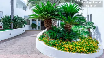 FLAMINGO HOTEL