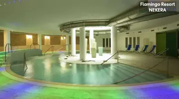 FLAMINGO HOTEL
