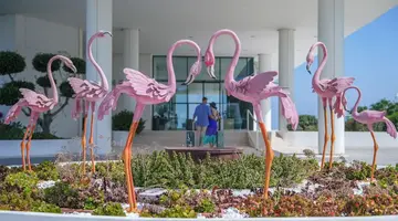 Flamingo Paradise Beach Hotel Adults Onl