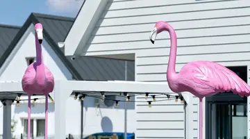Flamingo Residence