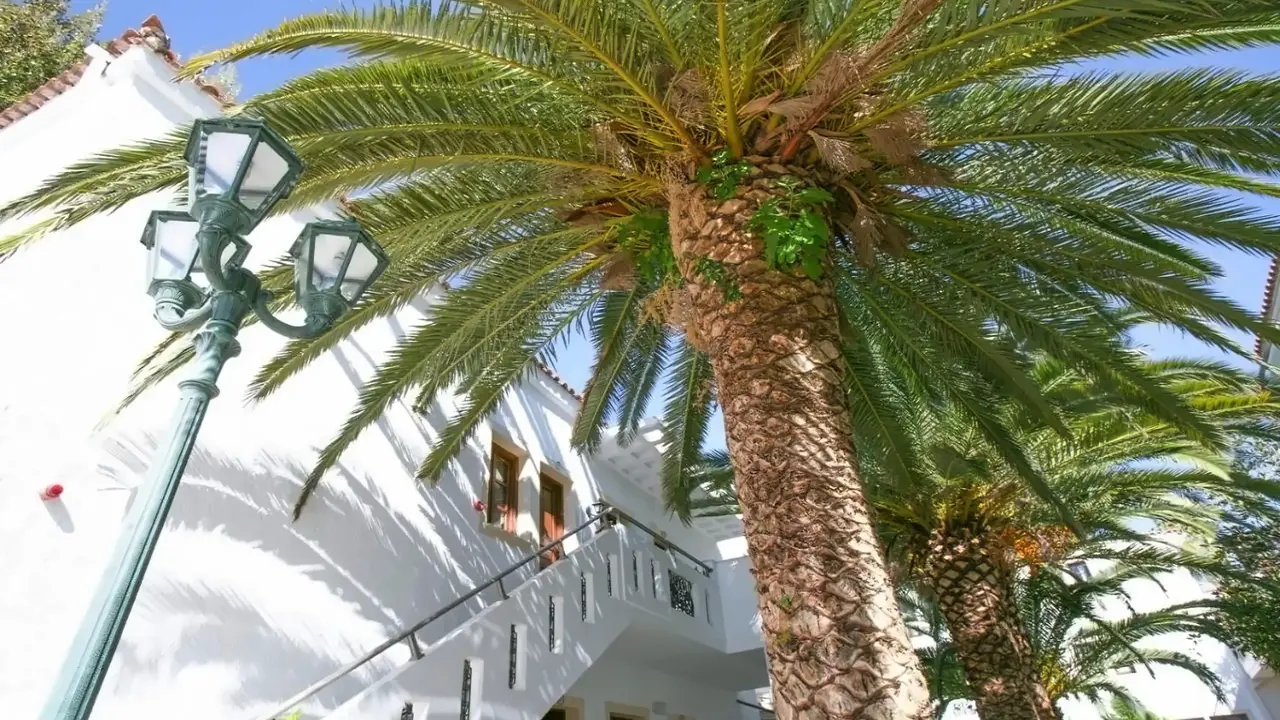 Flamingos Hotel
