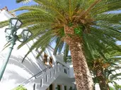 Flamingos Hotel