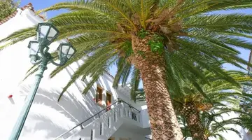 Flamingos Hotel