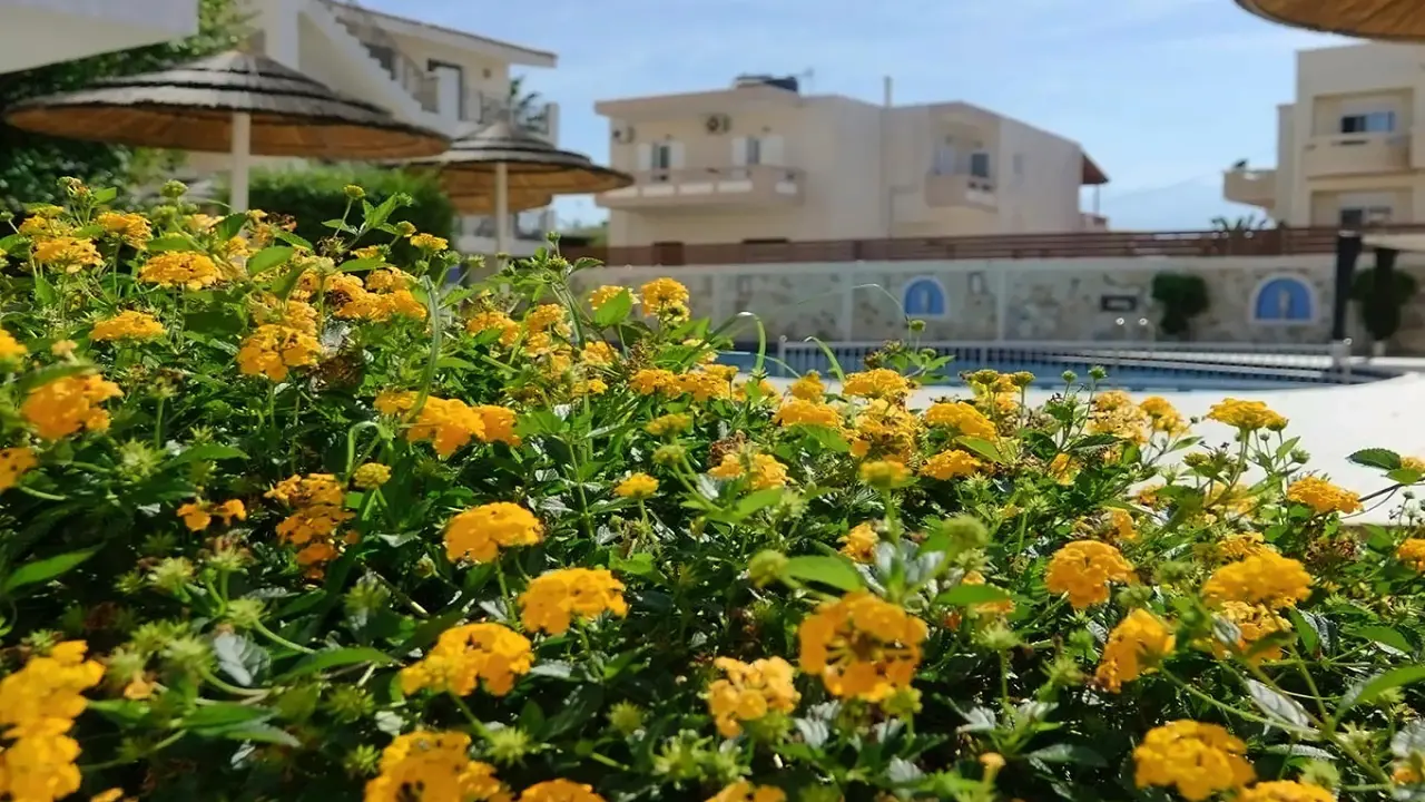 Flamingos Hotel