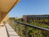 Flamingos Salgados