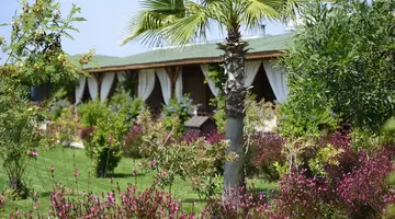 FLORA GARDEN BEACH ADULT ONLY
