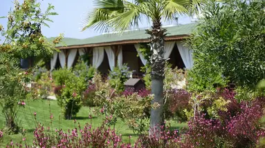 FLORA GARDEN BEACH ADULT ONLY