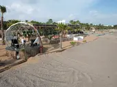 FLORA GARDEN BEACH ADULT ONLY