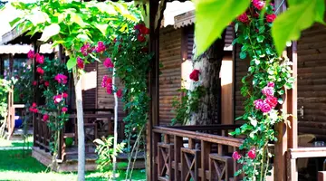 FLORA GARDEN BEACH ADULT ONLY