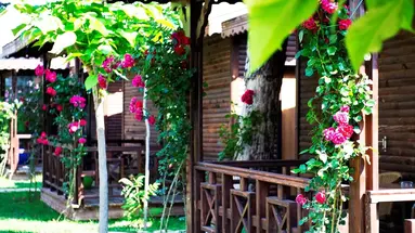 FLORA GARDEN BEACH ADULT ONLY