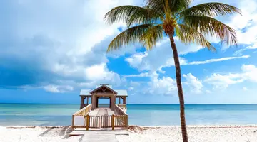 Floryda: Od Palm Do Gwiazd