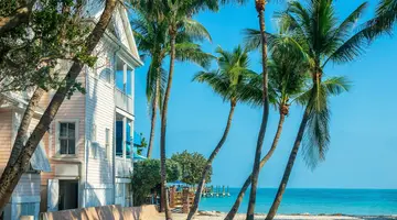 Floryda: Od Palm Do Gwiazd