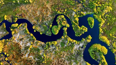 Floryda - Żar Tropików