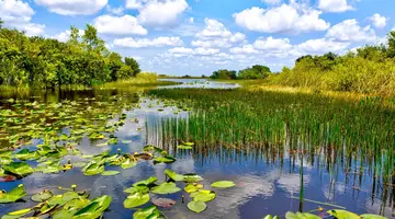 Floryda - Żar Tropików
