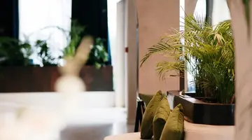 FLOWER HOTELS & RESORT