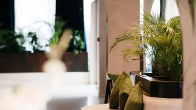 FLOWER HOTELS & RESORT