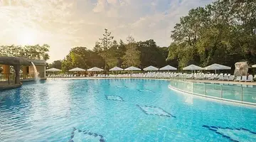Forest Beach
