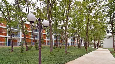 Forest Beach