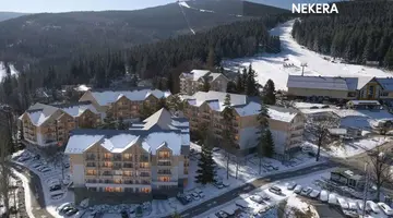 Forest Park Resort & SPA