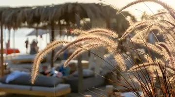 Fort Arabesque Resort, Spa and Villas
