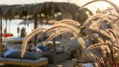 Fort Arabesque Resort, Spa and Villas