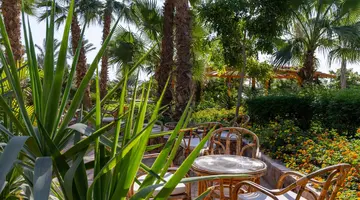 Fort Arabesque Resort, Spa and Villas