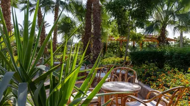 Fort Arabesque Resort, Spa and Villas