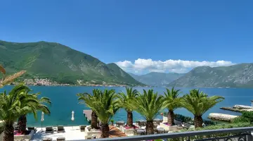 Forza Terra