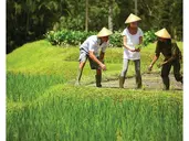 FOUR SEASONS RESORT BALI AT SAYAN