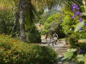 FOUR SEASONS RESORT MAURITIUS AT ANAHITA