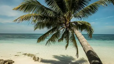 Four Seasons Resort Seychelles at Desroc