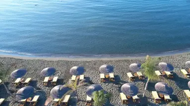 Four Seasons
