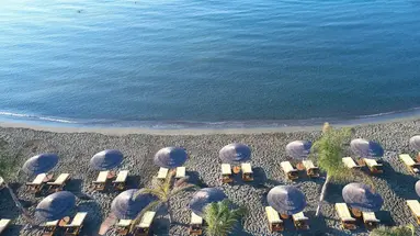 Four Seasons