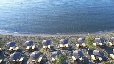 Four Seasons