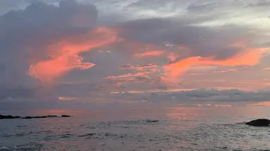 FREE BEACH RESORT