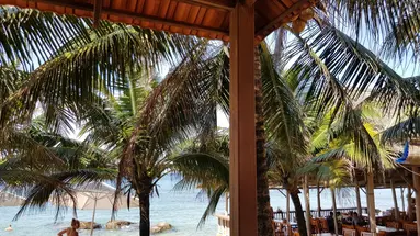 FREE BEACH RESORT