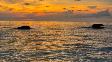 FREE BEACH RESORT
