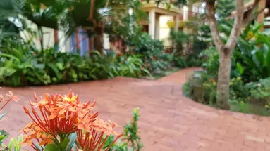 FREE BEACH RESORT