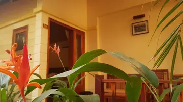 FREE BEACH RESORT