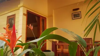 FREE BEACH RESORT